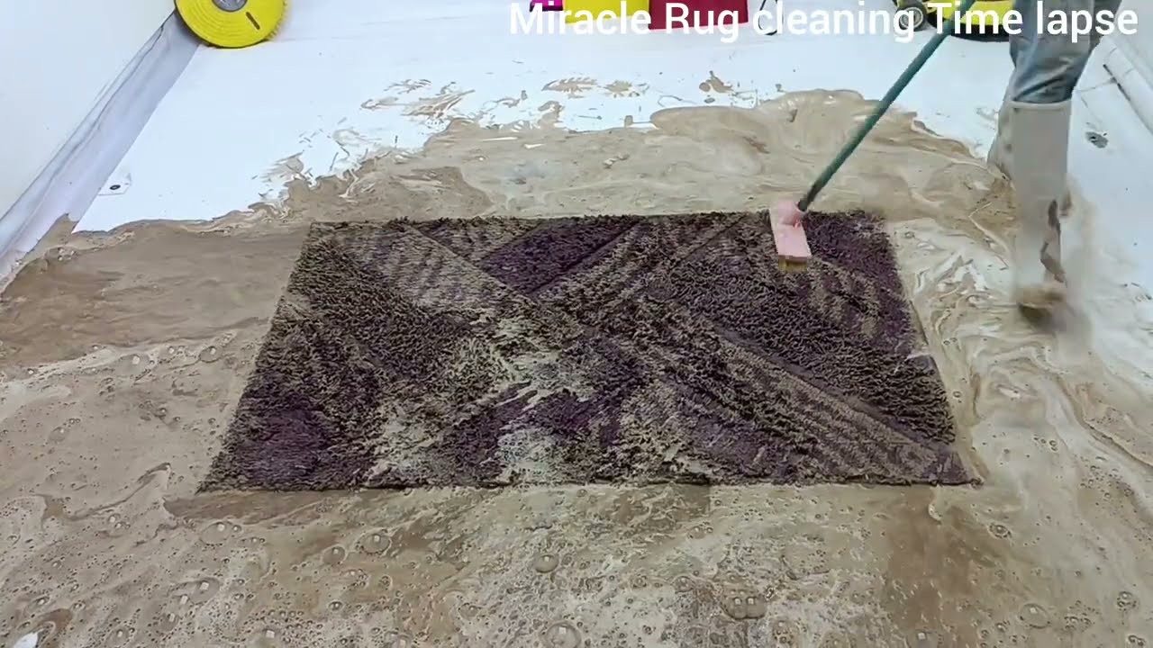 BEAUTIFUL Carpet Cleaning Hacks to Make Your Home SPOTLESS!