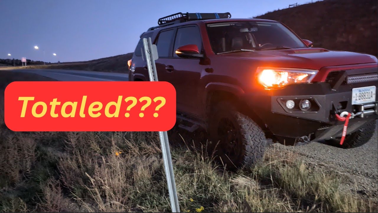 БАМПЕР ОЛЕНЬ ПРОТИВ Amazon