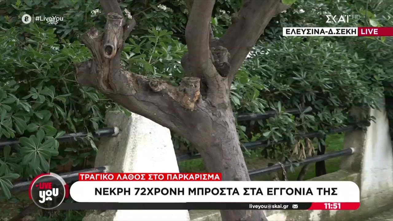 Πως έγινε η τραγωδία όπου γυναίκα σκότωσε τη μητέρα της παρκάροντας – Τι δήλωσε ο πρώην σύζυγος
