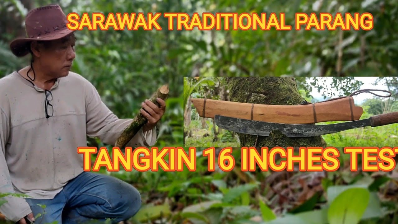 SARAWAK TRADITIONAL PARANG TESTING.   TANGKIN 16 INCHES.