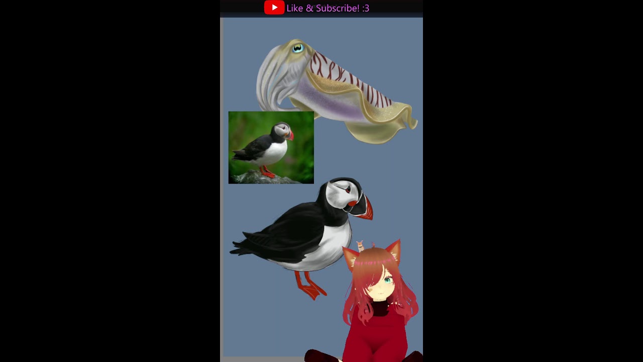 Mama Lynxy Social Anxiety Chill and Sketch; Penguins and Cuttlefish