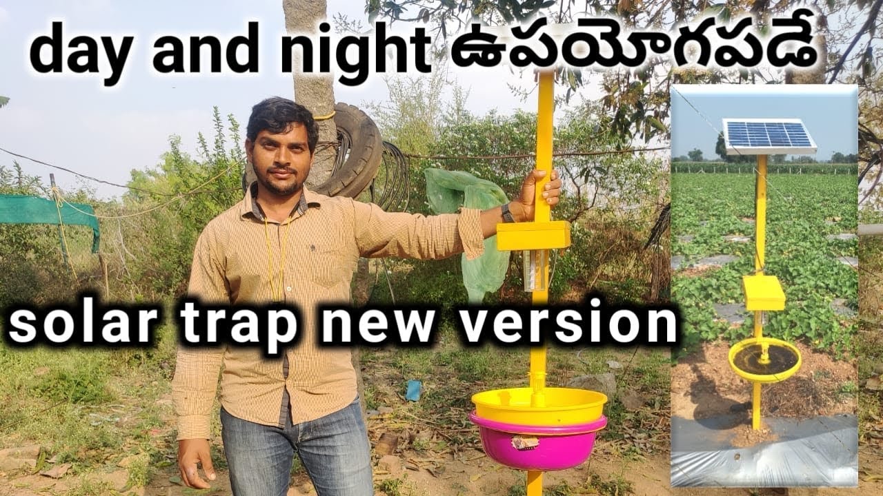 Solar trap new version॥ organic farming॥ natural farming॥Low-budget pest management