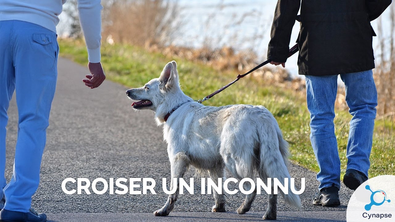 Croiser un inconnu - COMMUNICATION