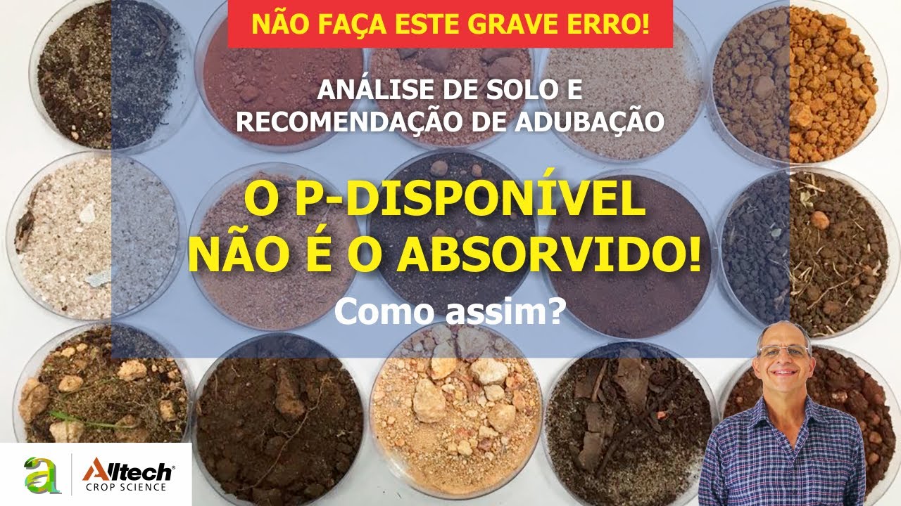 #122 - O P-DISPONÍVEL NÃO É O ABSORVIDO!