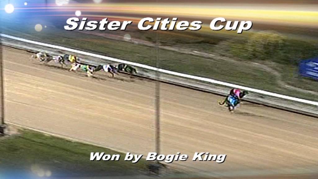 The Year That Was - SA Greyhound Racing 2012