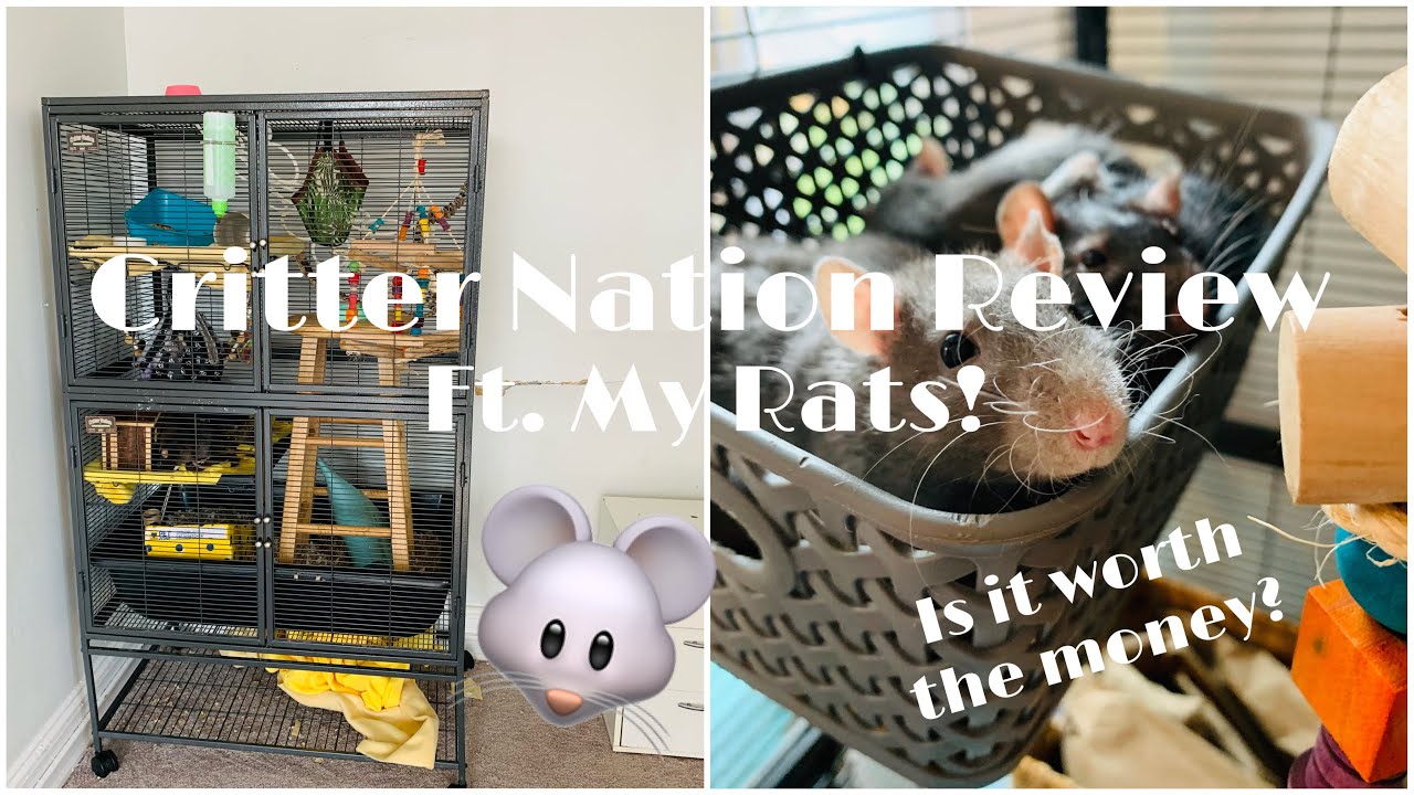 Critter Nation Cage Review 🐭