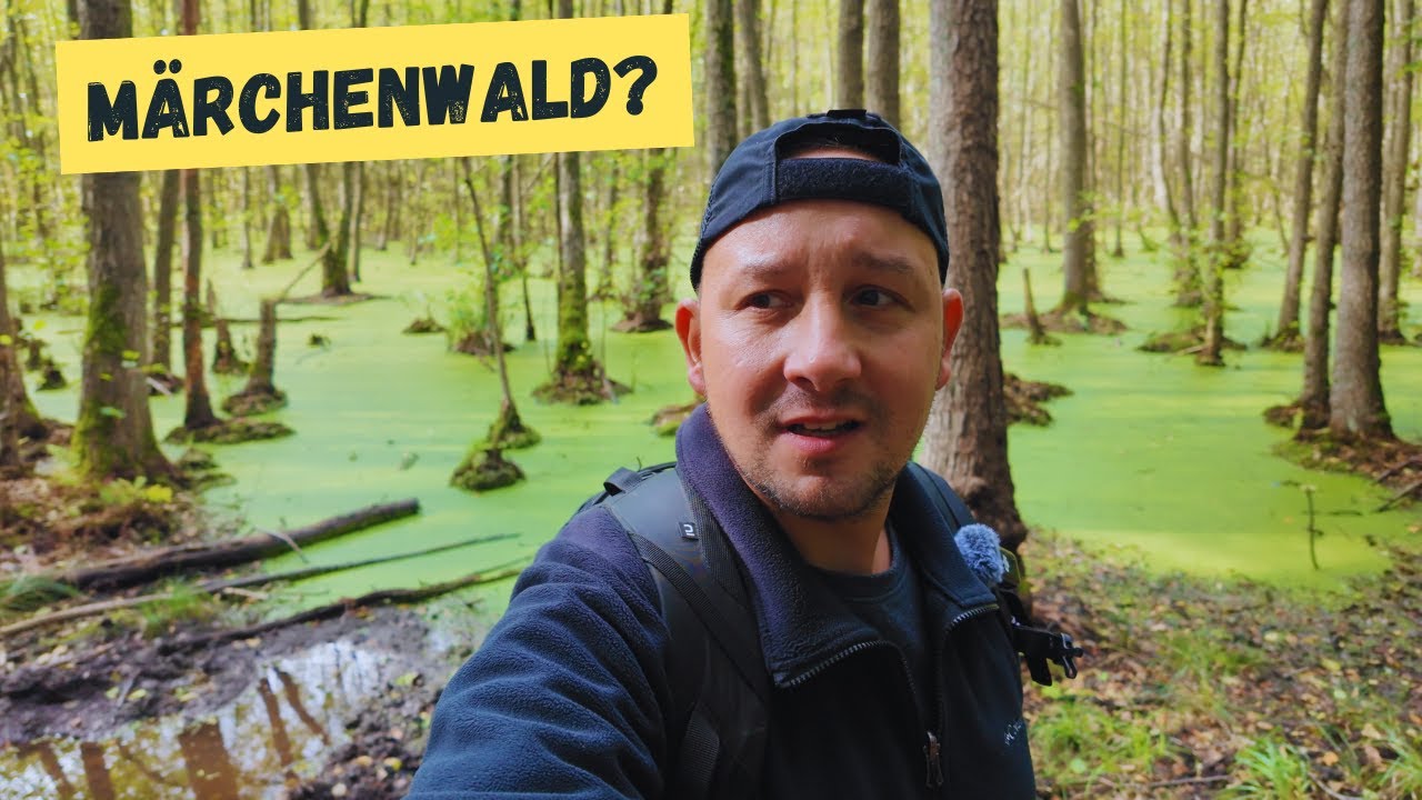 Vom Krummen See durch das Sutschketal bis Bestensee und zurück