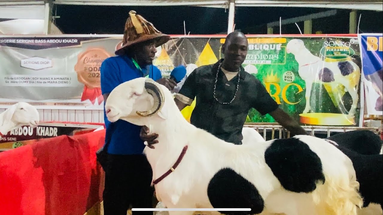 SONKO DE LA BERGERIE REPUBLIOQUE DES CHAMPIONS A LA FOIRE CEB