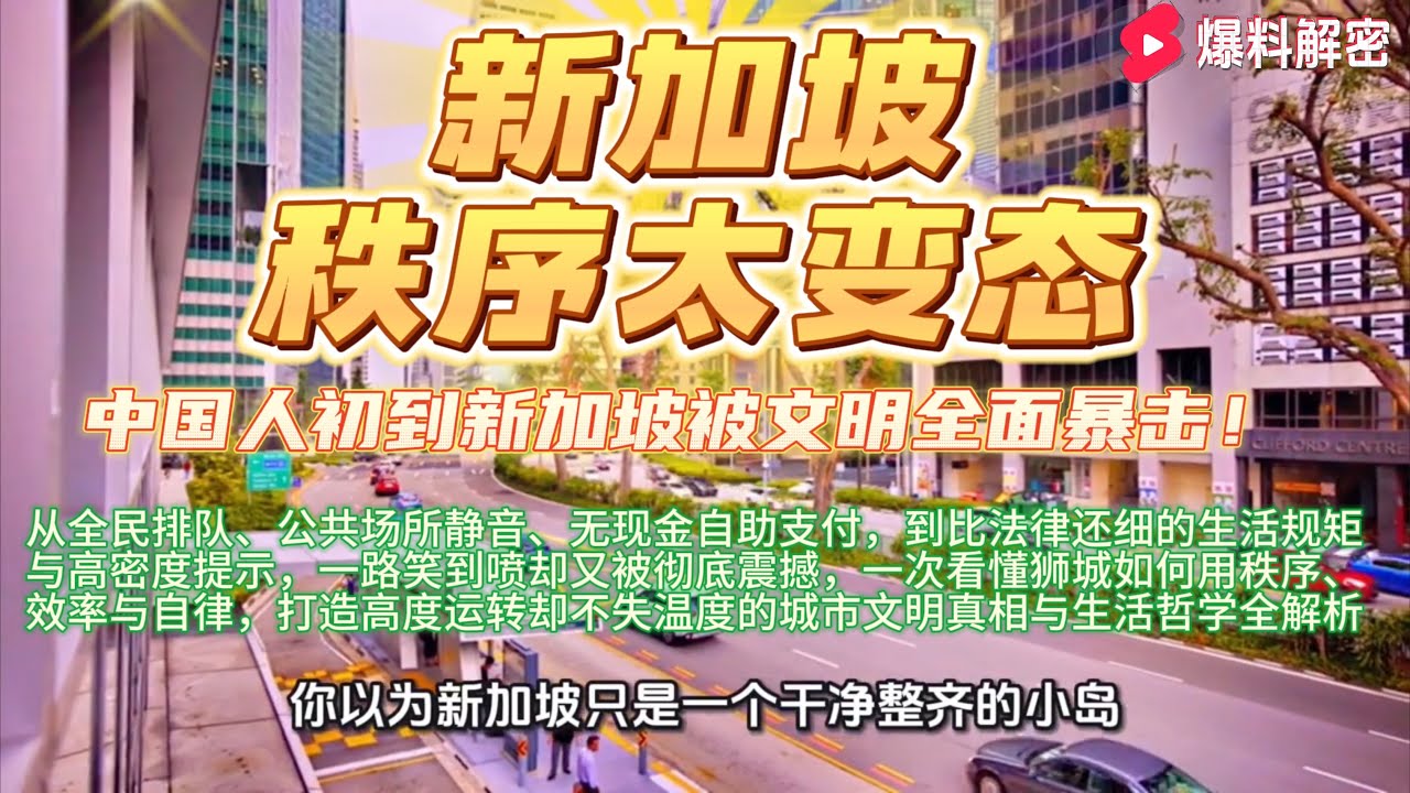 【完整版】中国人初到新加坡被文明全面暴击！从全民排队、公共场所静音、无现金自助支付，到比法律还细的生活规矩，一次看懂狮城高效运转背后的真实逻辑、社会设计与隐藏的生活哲学