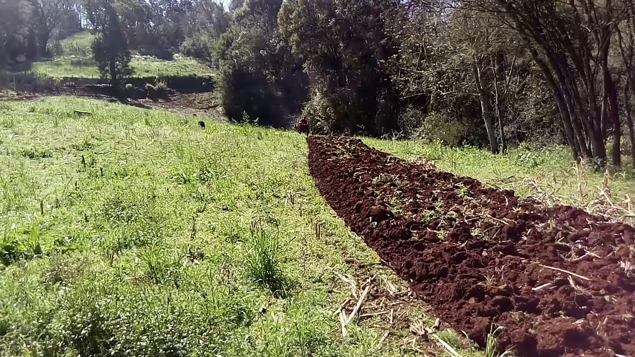 Agrale 4100 tombando terra