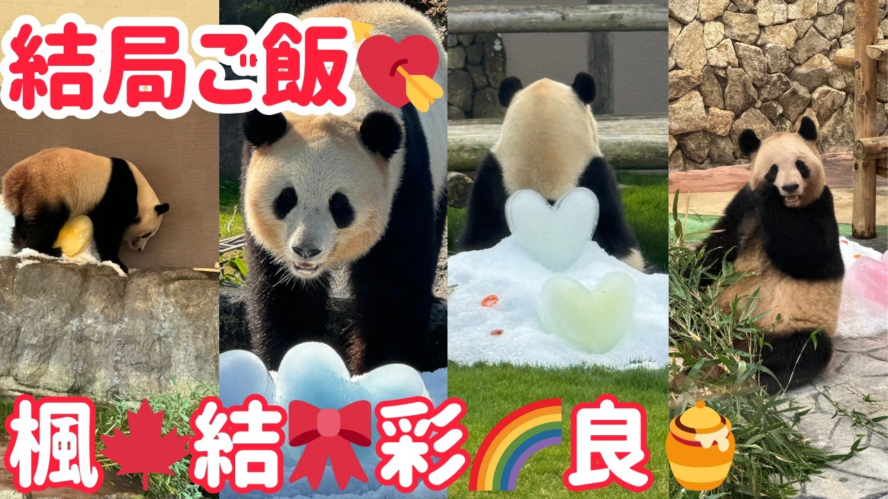 2024バレンタイン💘白浜