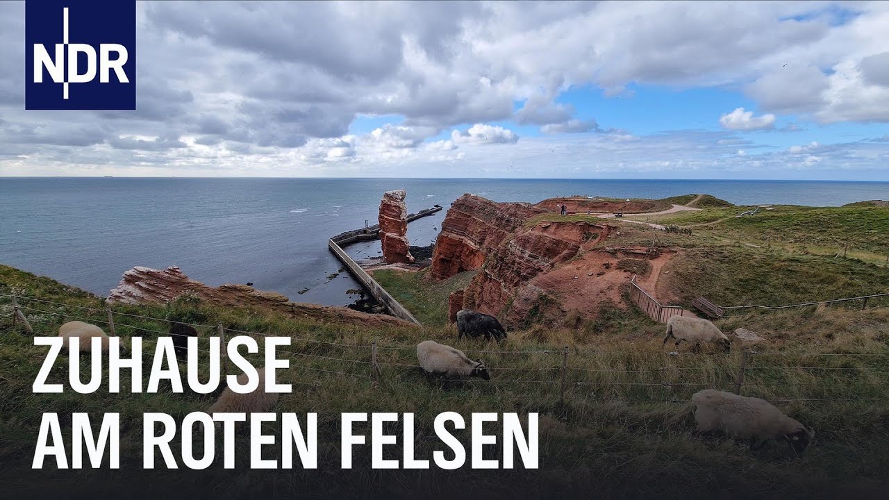 Neustart auf Helgoland | die nordstory | NDR Doku