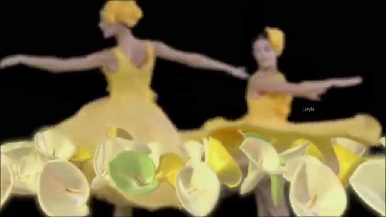 Karel Gott & Semino Rossi - La Paloma