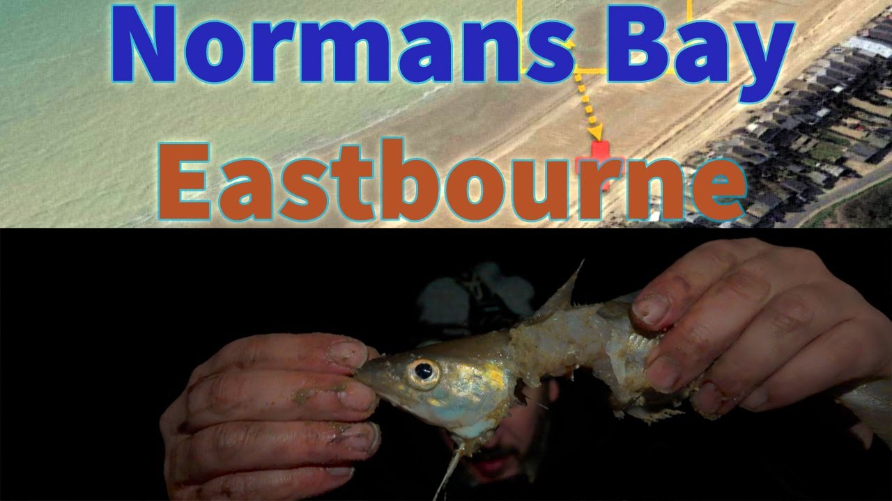Normans Bay Eastbourne