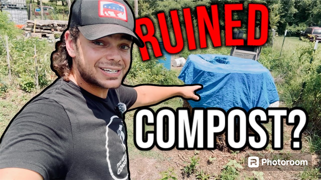 What Happens When You Compost Poison Ivy? // Permaculture Q&A #23