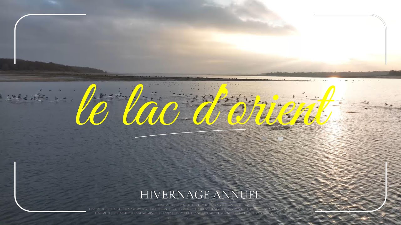 le lac d'orient en hivernage annuel