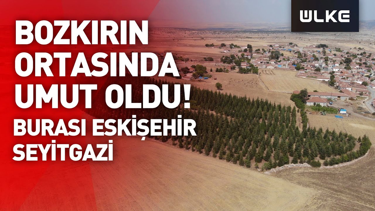 Eskişehir Seyitgazi'de arabasını satarak büyüttüğü orman, mahallesine nefes oluyor
