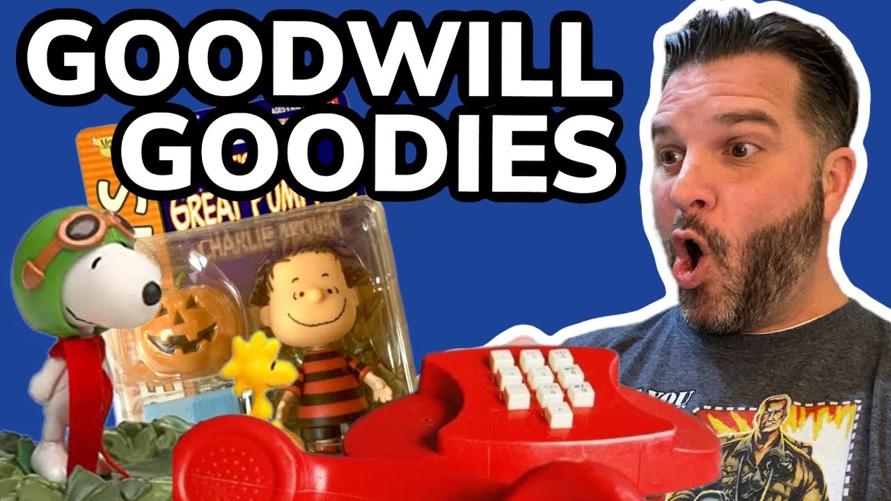Whachu Got For Me Today GoodieWill? Vintage Goodwill and Thrift Store Finds! #toyhunt #goodwill