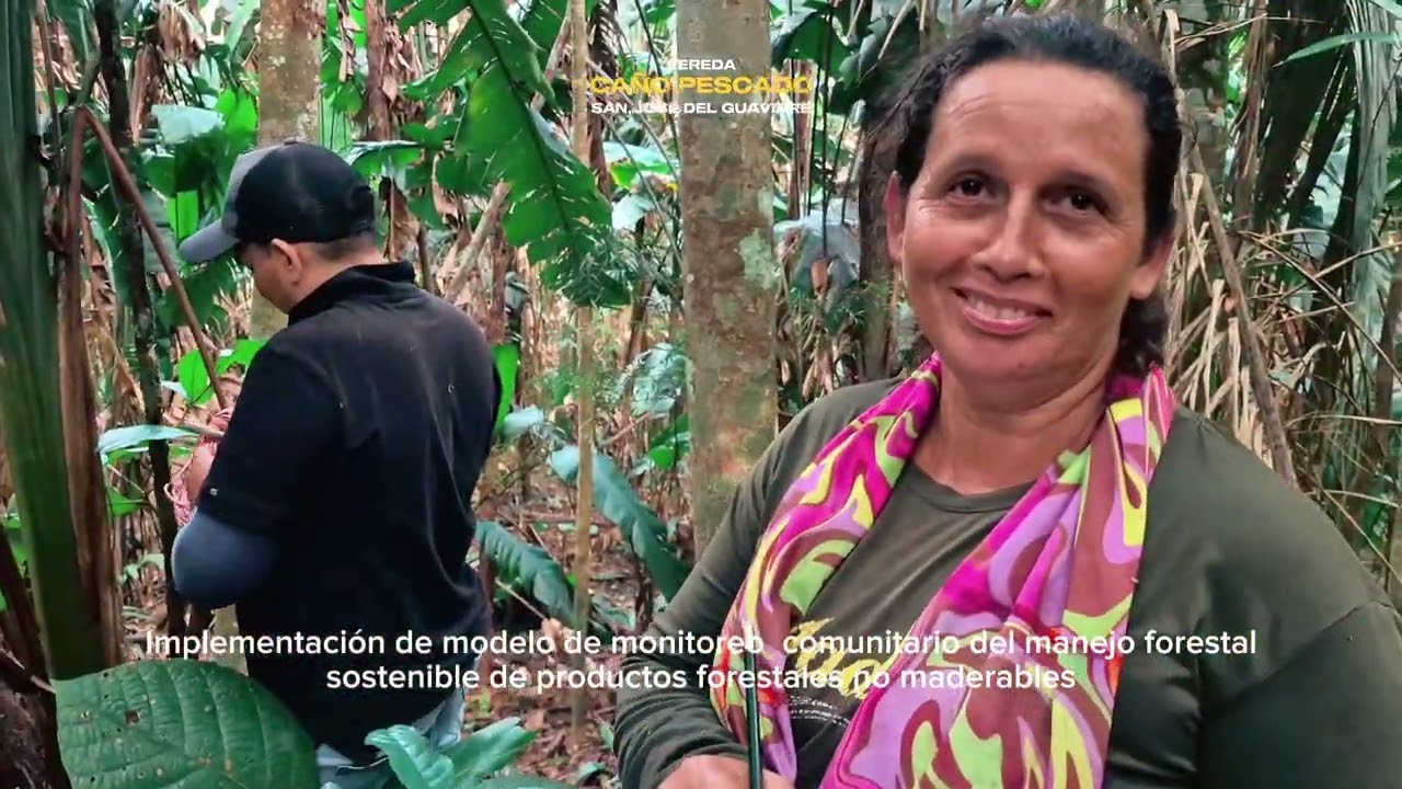 Monitoreo comunitario para el manejo forestal del bosque