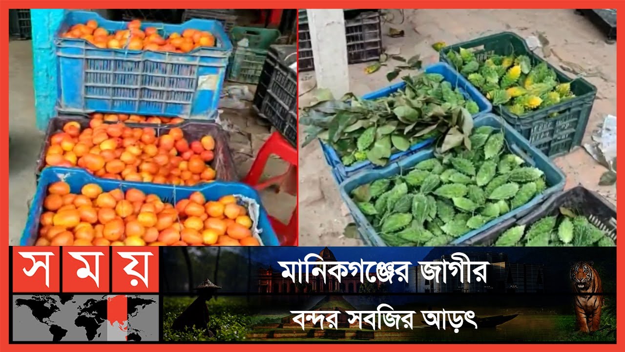 সপ্তাহ ব্যবধানে সবজির সরবরাহ বেড়েছে | Vegetable Market | Manikganj Vegetable Market | Somoy TV