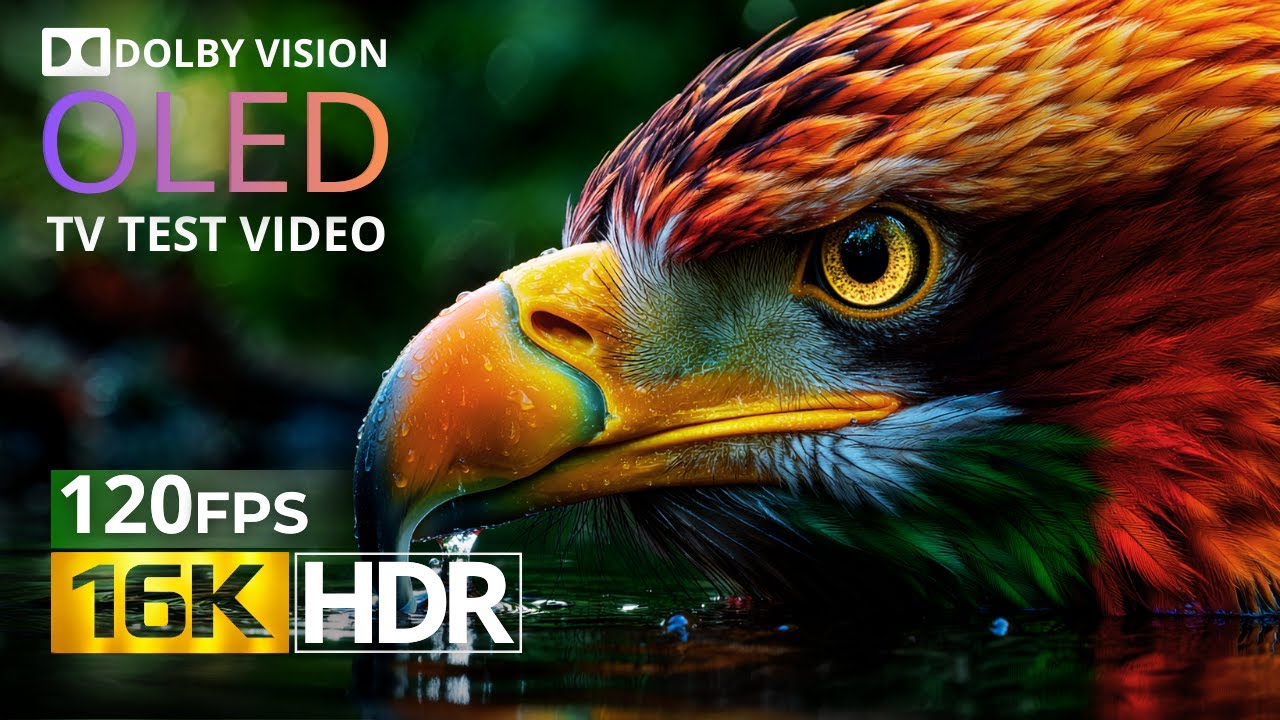 Ultra Clarity 16K HDR 120fps Dolby Vision – See the Difference in Every Frame