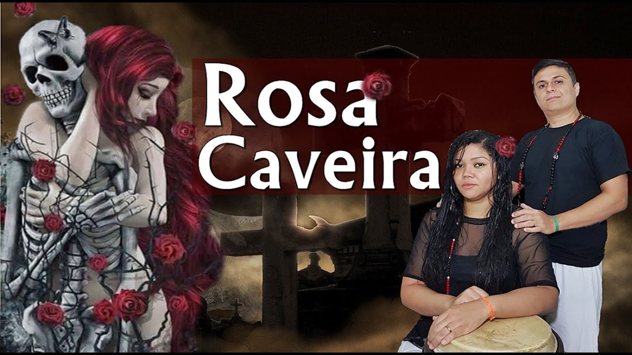 🔴 POMBOGIRA ROSA CAVEIRA - UM DOS PONTOS MAIS LINDOS - Linda roseira - Leo Batuke e Leyd Faceiro