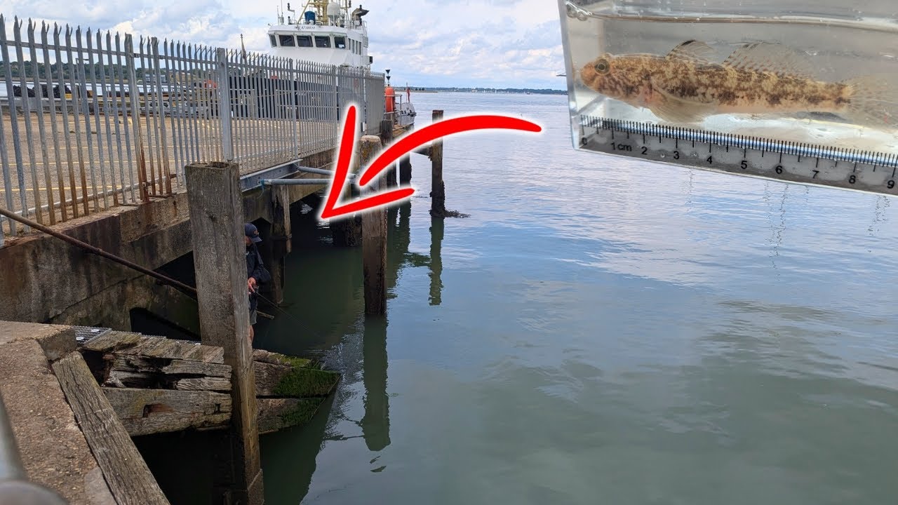 Essex LRF Adventures - Catching a RARE Species