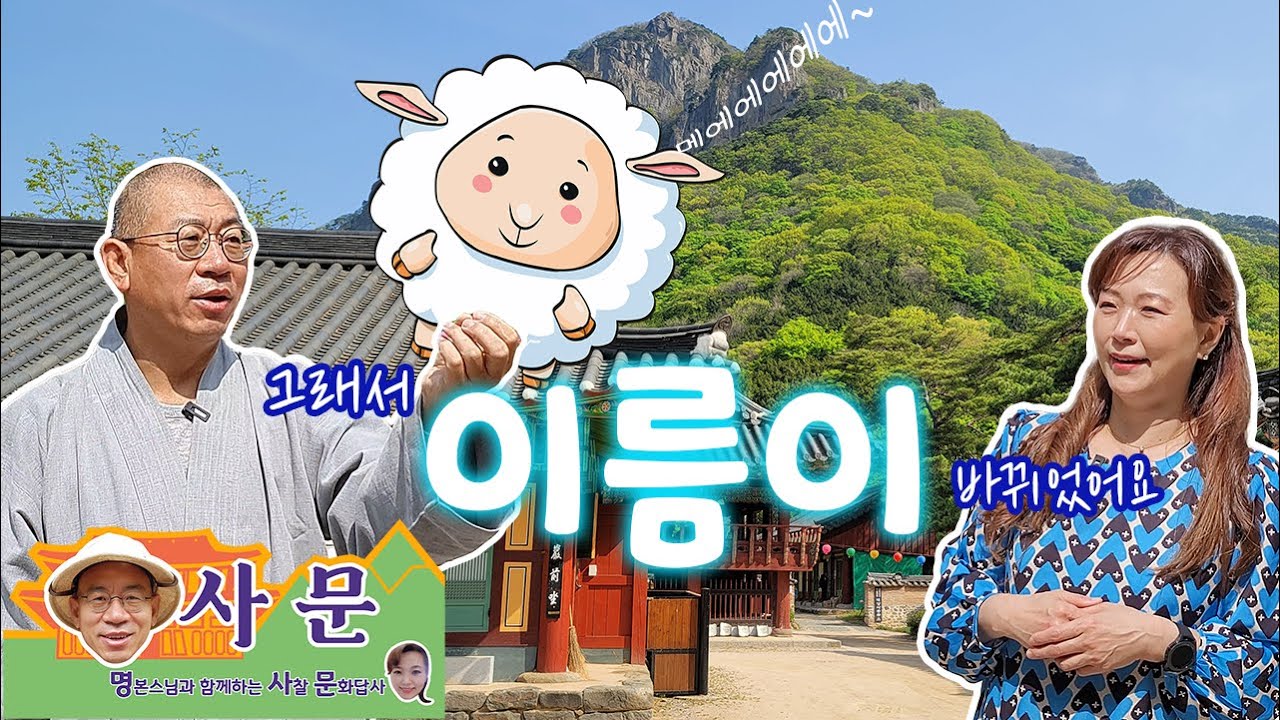 [명사문] 메에에에에~ 장성 백양사