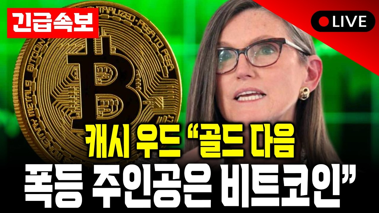 비트코인 OG 매도 속 기관이 조용히 매집하는 이유