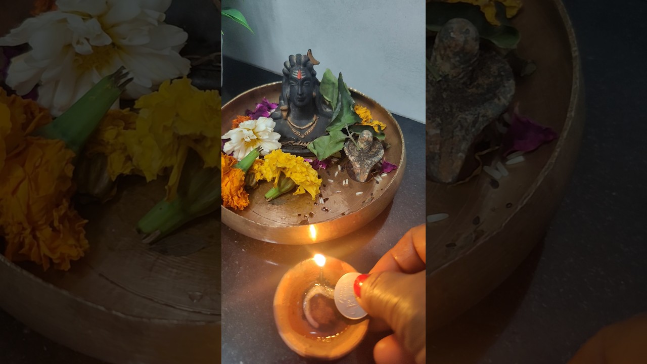 15 February ke din ek Sikka dalkar jalayen Mandir mein #shivji #upay #pandit_pradeep_ji_mishra