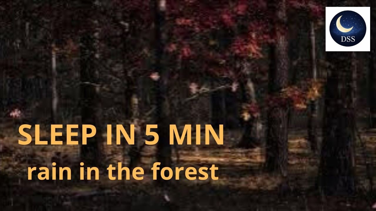 Rainy Forest Night with Gentle Piano 🎹 2 Hours for Deep Sleep and Calm 0220