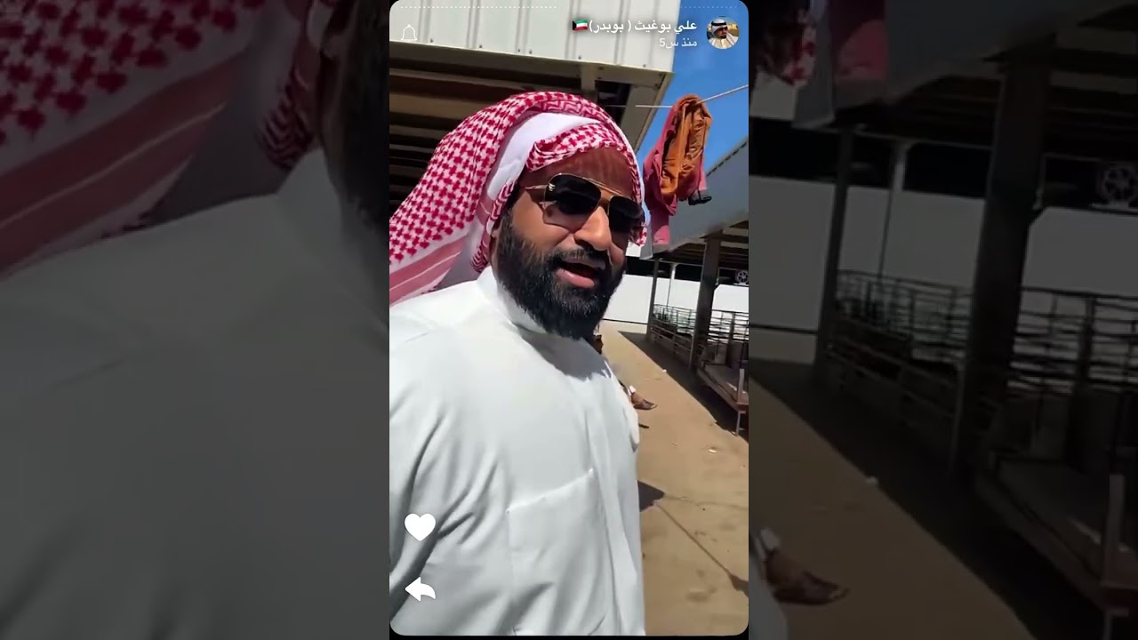 علي بوغيث(بوبدر) وسوق الغنم😂 #الكويت #الغنم #مشاهير
