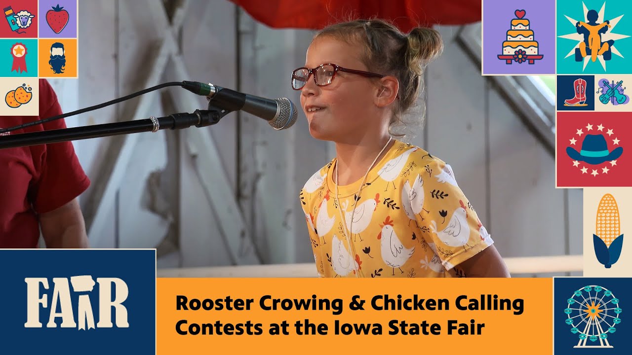 Rooster Crowing & Chicken Calling Contests at the Iowa State Fair &ndash; Fair 2025