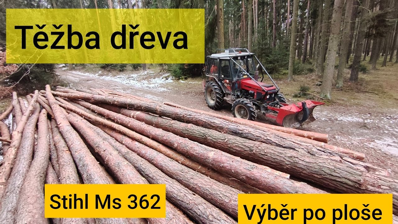 Těžba borovic po ploše, Zetor 7245, Agama aga 2, Stihl Ms 362, JP Forest 
