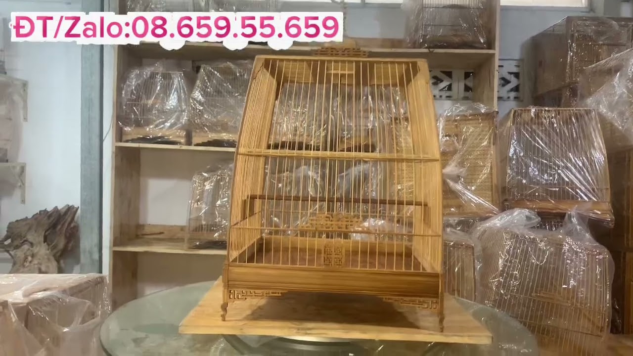 Mẫu Tre tia, gọn gàng, đơn giản bao ship toàn quốc.
