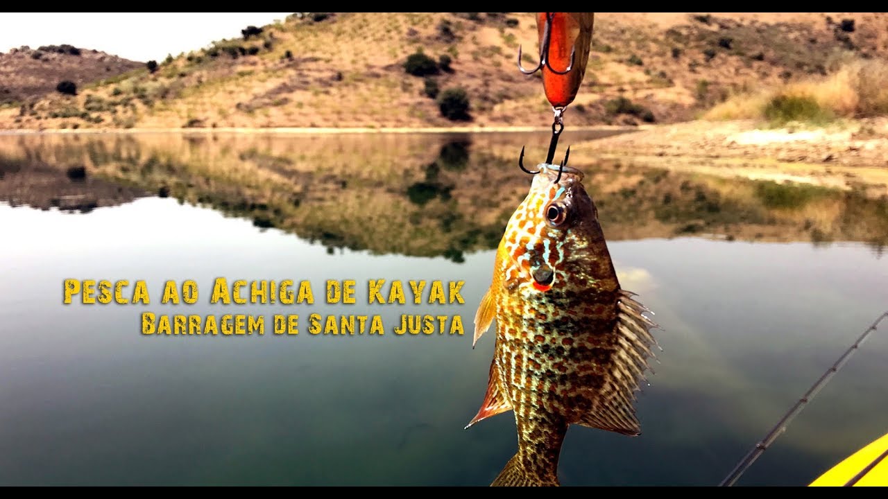 Pesca ao Achigã de Kayak - Barragem de Santa Justa