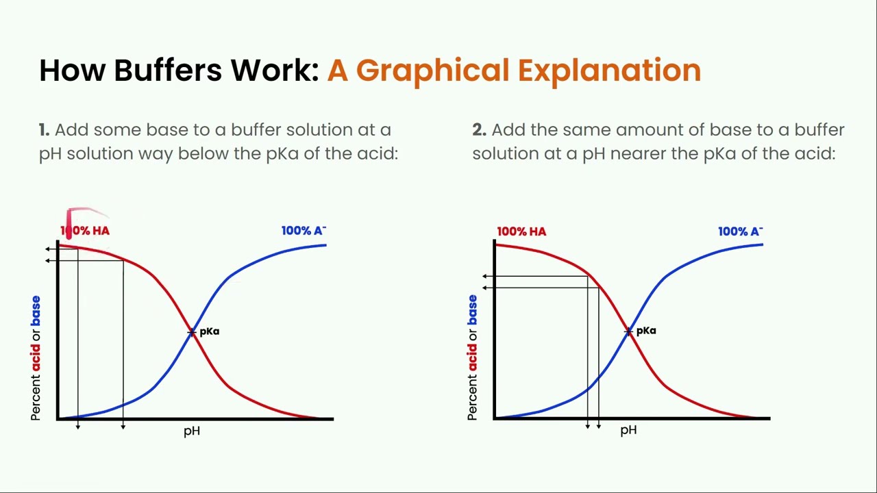Back to Buffer Basics: Everything You Need to Know About Buffers
