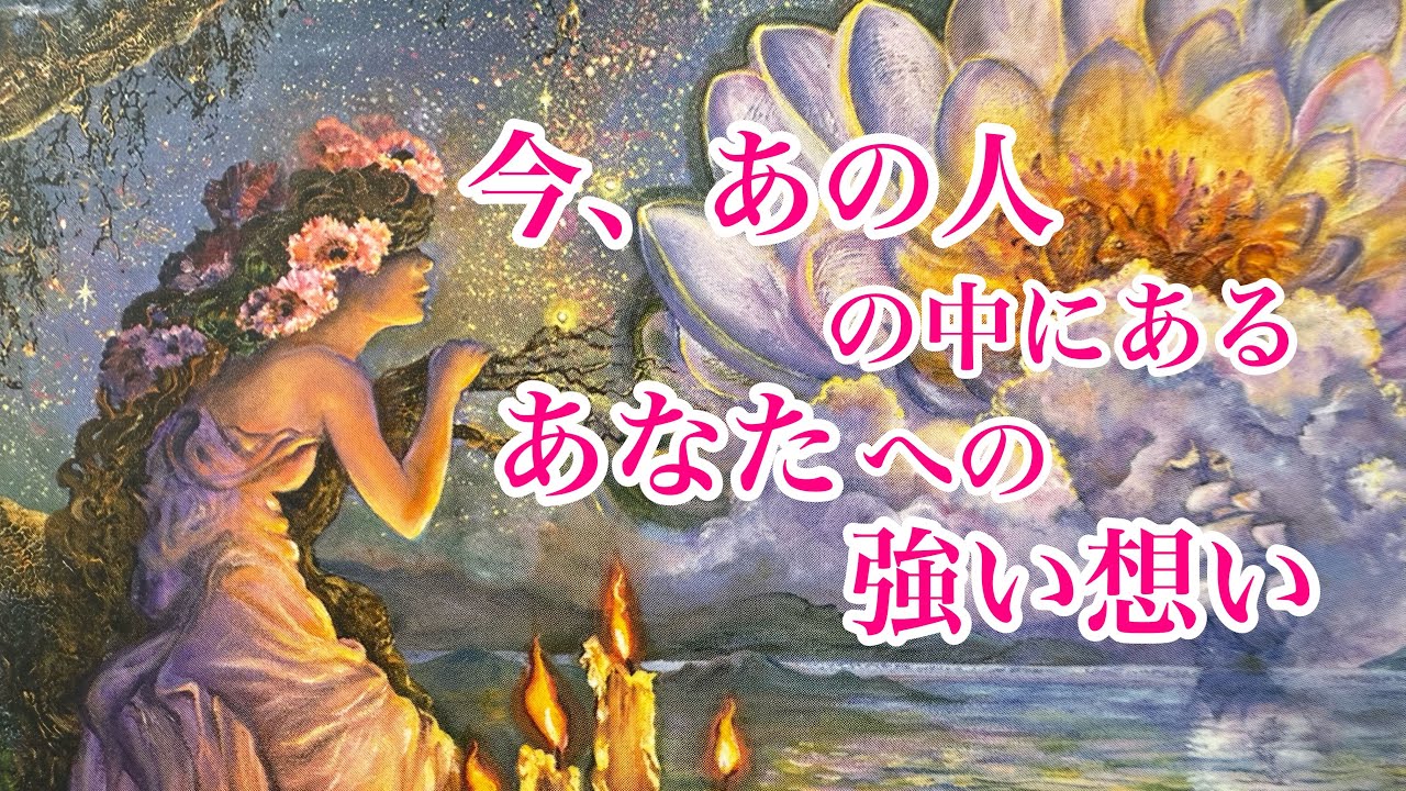 【観たときがタイミング、優しいタロット】あの人の中にある、強いあなたへの想い🕊️💕
