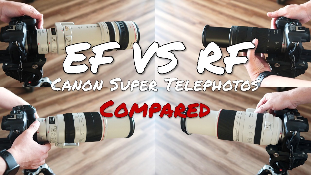 EF vs RF: Comparing 100-400/500mm Telephoto Lenses on Canon’s R Series Cameras