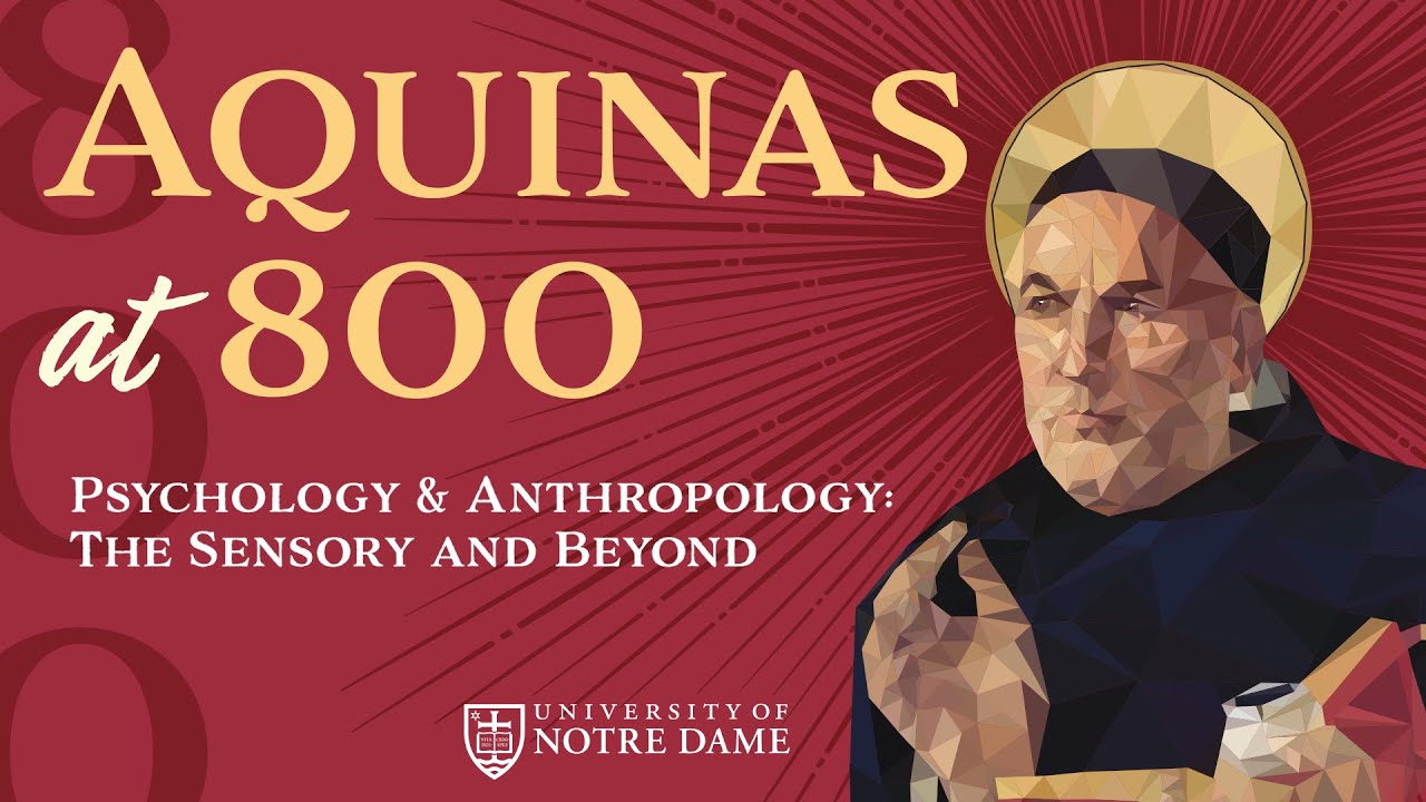 Psychology & Anthropology: The Sensory and Beyond – “Aquinas at 800” Conference