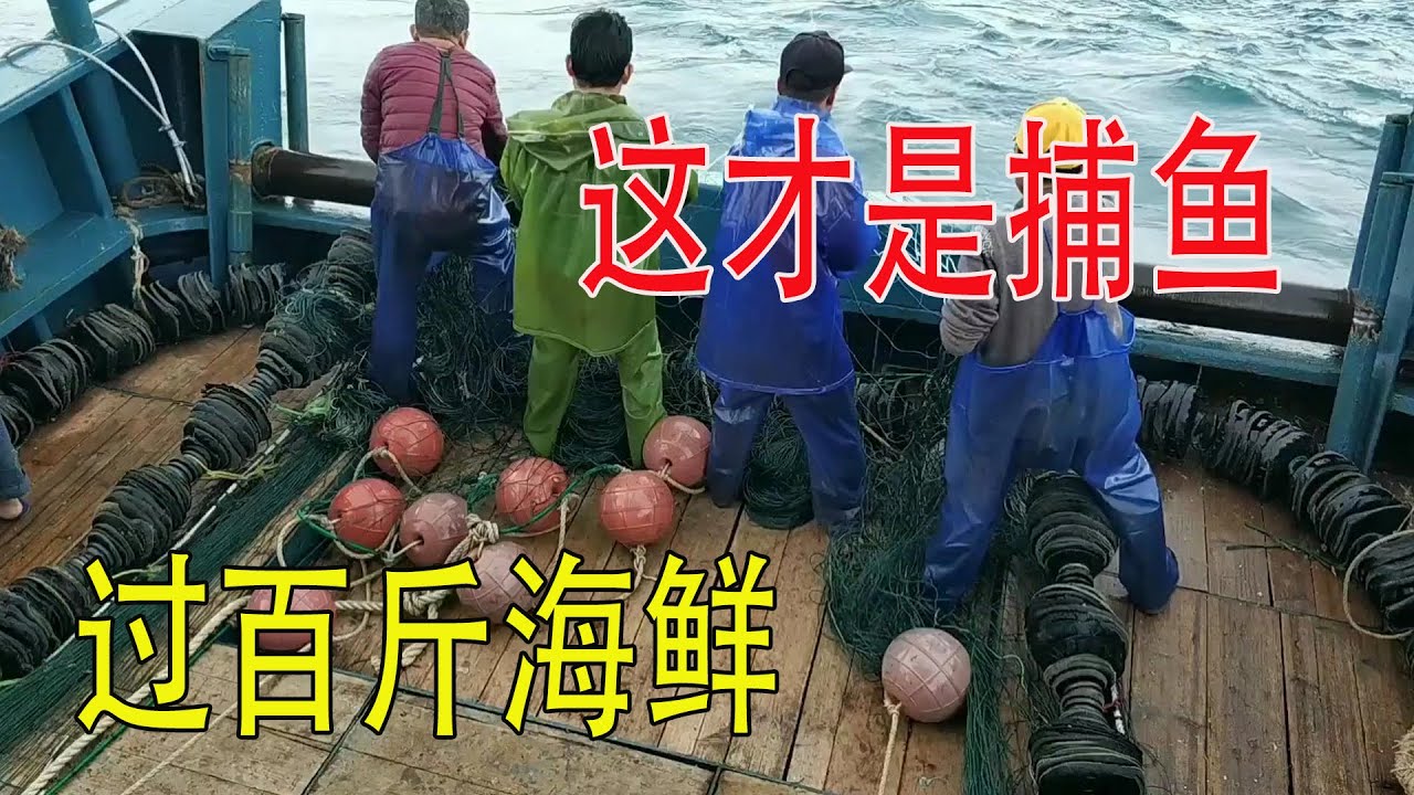 价值几百万的渔船这样捕鱼，每网上来都是过百斤海鲜，这才是捕鱼【南澳岛记录员彪哥】