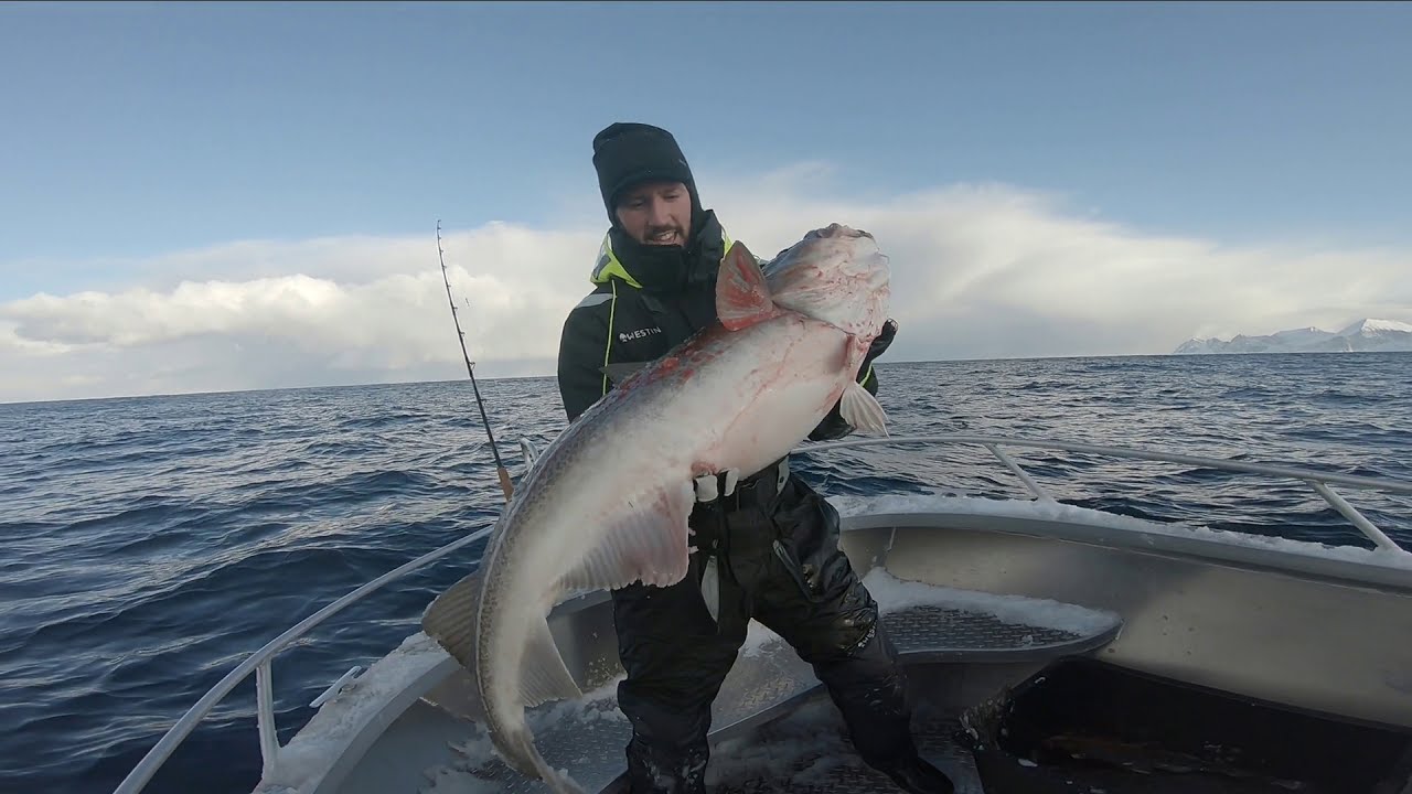 Catch Fiskeresor Senja Norway