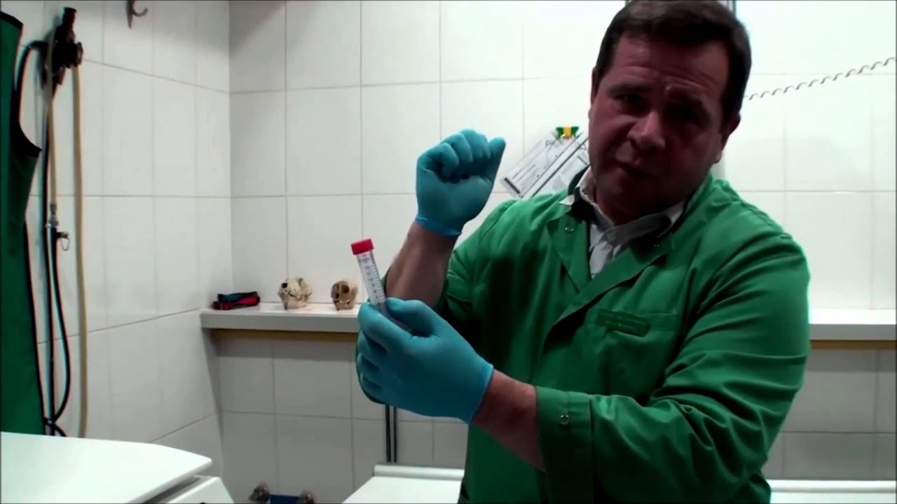 PRP Osocze Bogatopłytkowe Platelet Rich Plasma