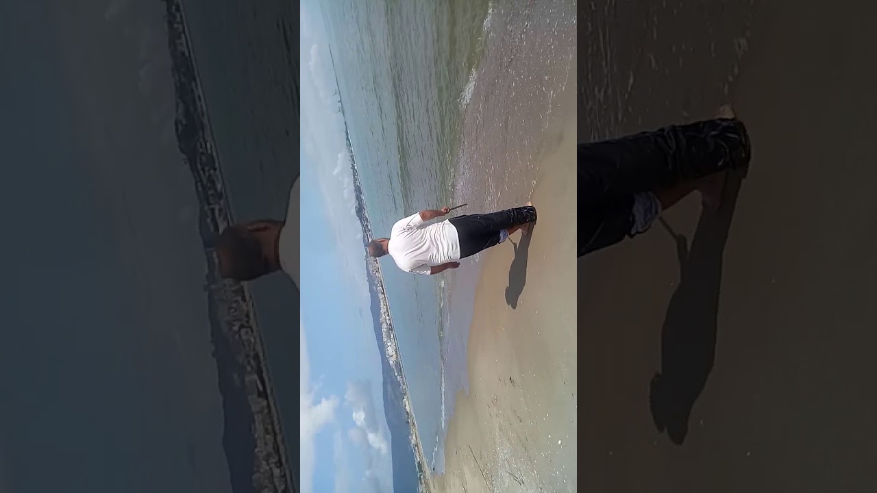 صيد سمكة violon من سواحل مدينة عنابة