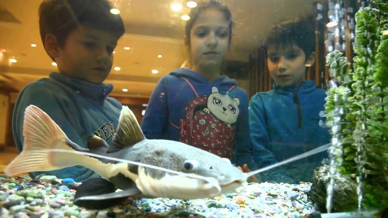 TANITIM FILMI-  OTEL / KISA - KORU HOTEL KISA TANITIM FILMI