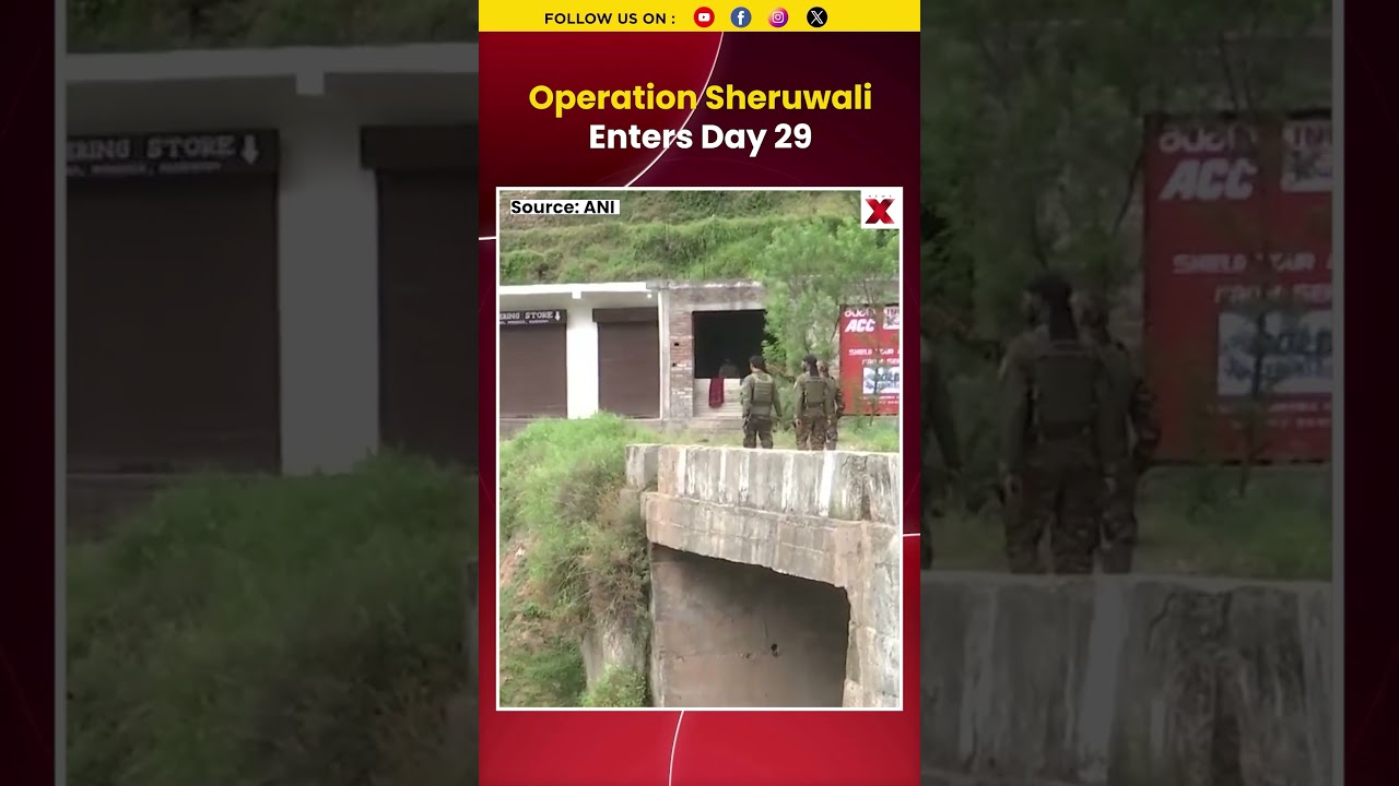 Operation Sheruwali Enters Day 29 In Gambir Mughlan Forests | NewsX