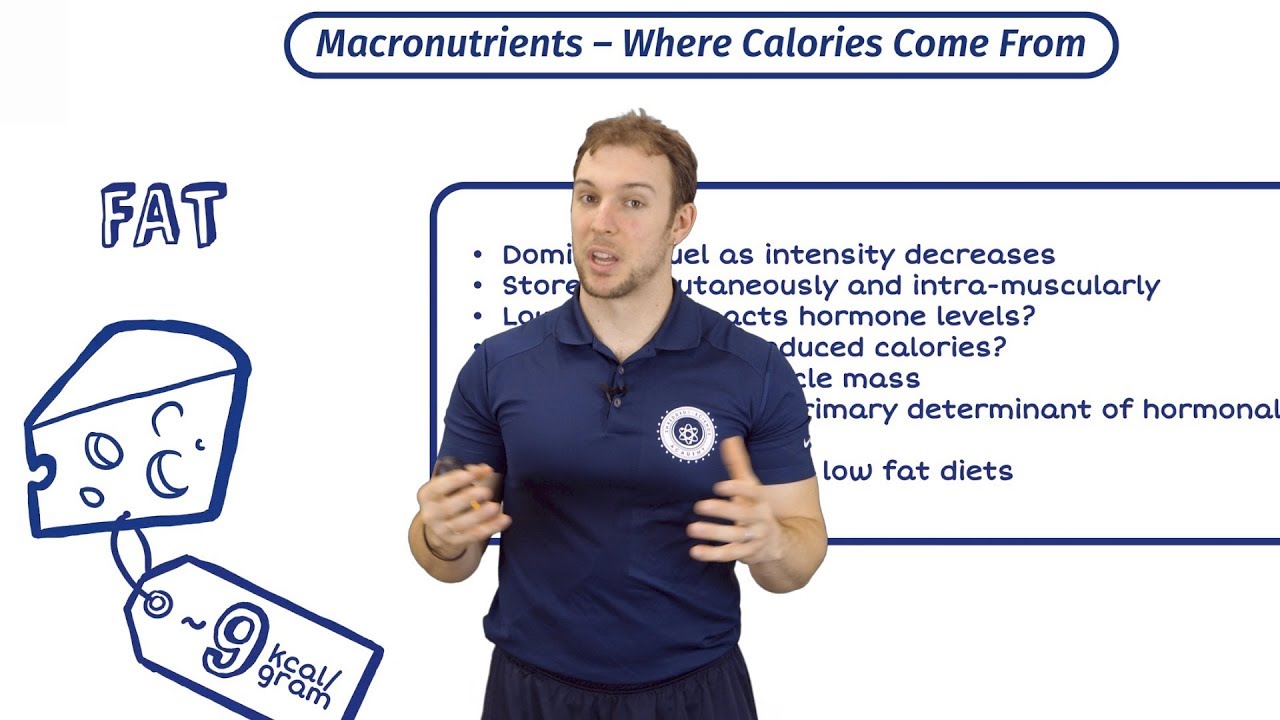 Fat Intake | The Role of Fat In The Diet with Eric Helms