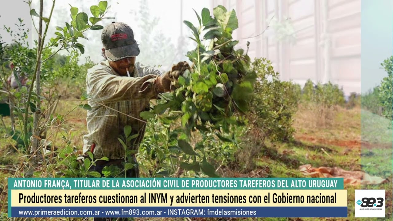 Antonio França: “El INYM dejó de defender al productor”