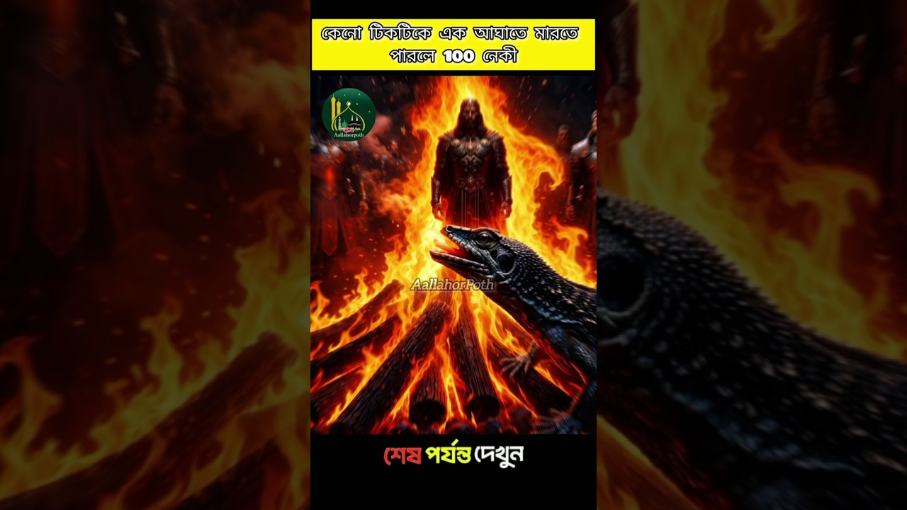 কেন টিকটিকি এক আঘাতে মারলে ১০০ নেকি? | Lizard Killing Reward in Islam | Islamic Reminder
