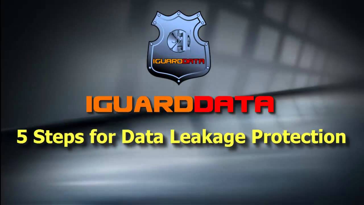 iGuardDATA Copy Protection USB System